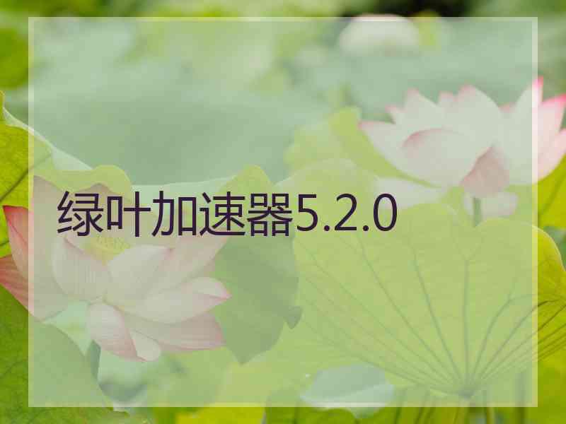 绿叶加速器5.2.0