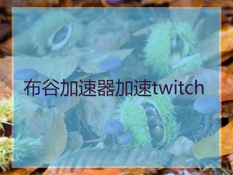 布谷加速器加速twitch