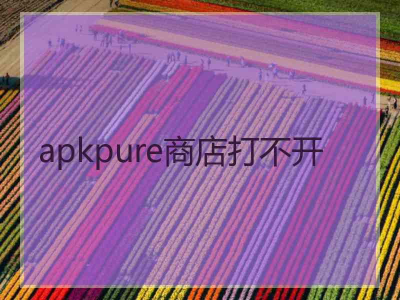 apkpure商店打不开