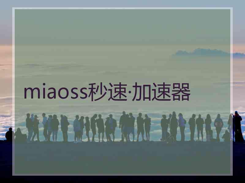 miaoss秒速·加速器