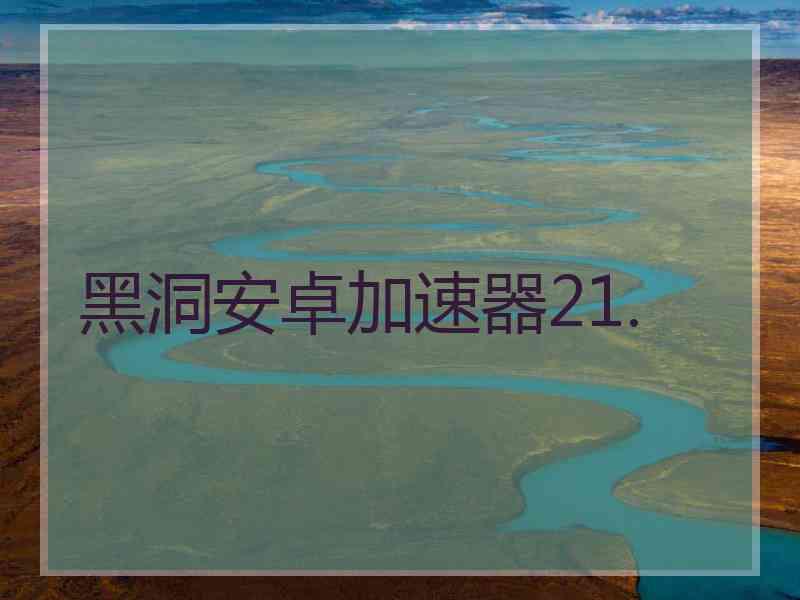 黑洞安卓加速器21.