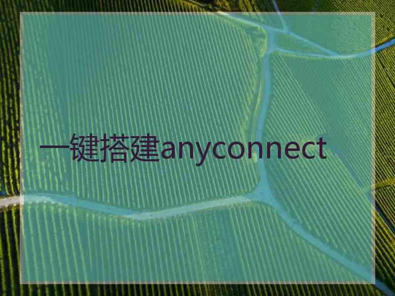 一键搭建anyconnect