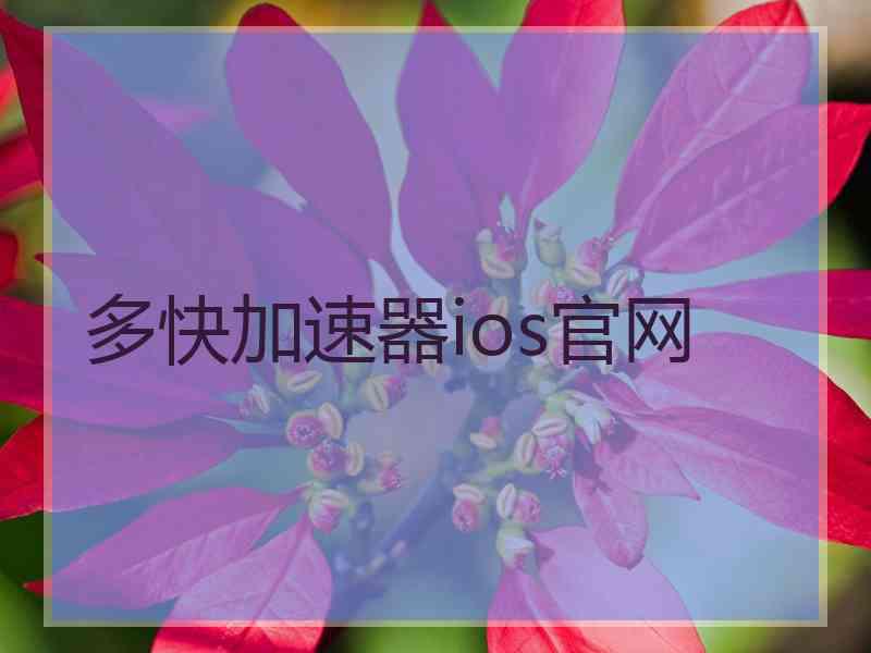 多快加速器ios官网