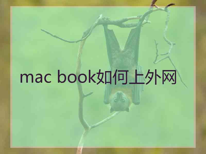 mac book如何上外网