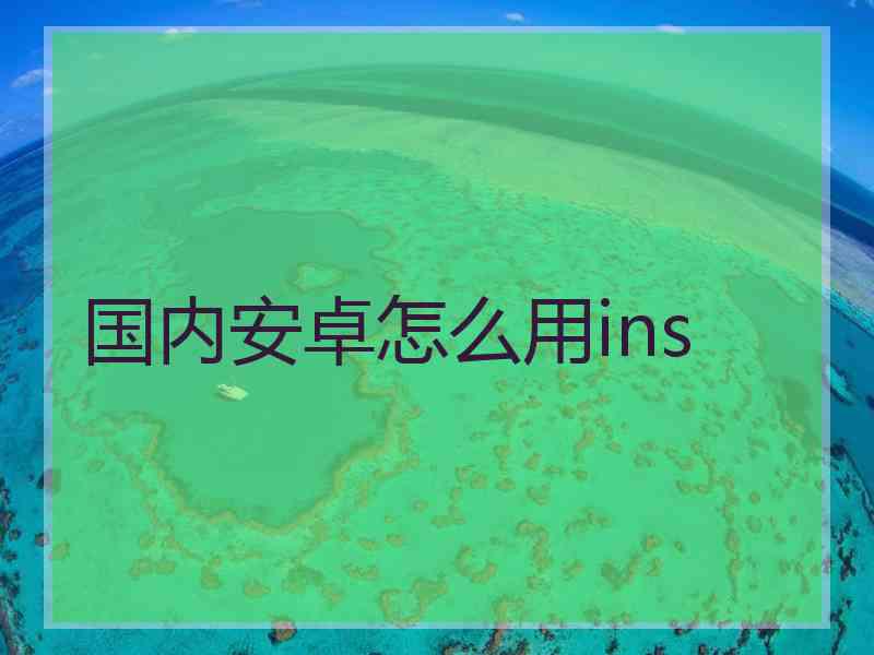 国内安卓怎么用ins