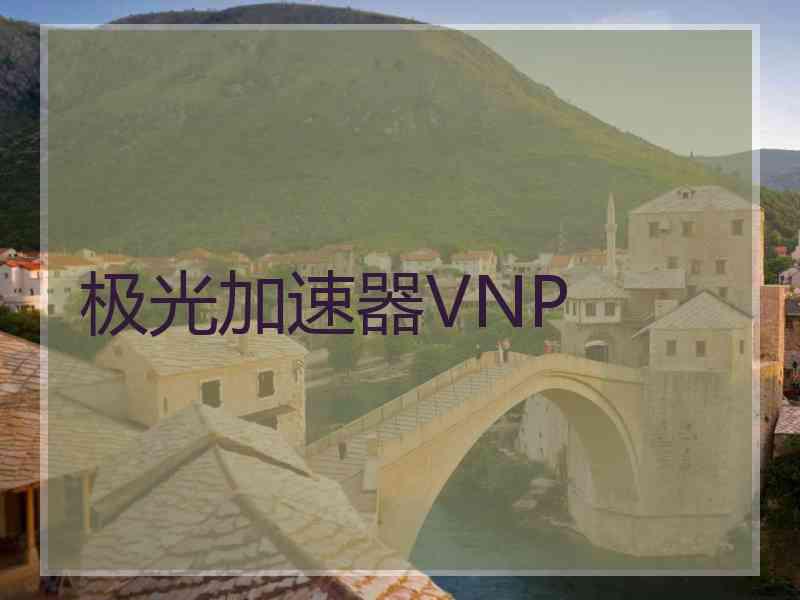 极光加速器VNP