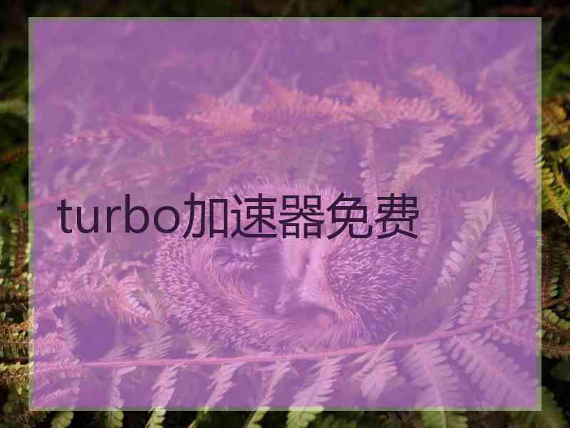 turbo加速器免费