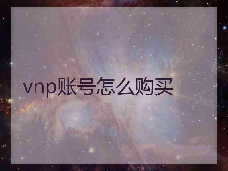 vnp账号怎么购买