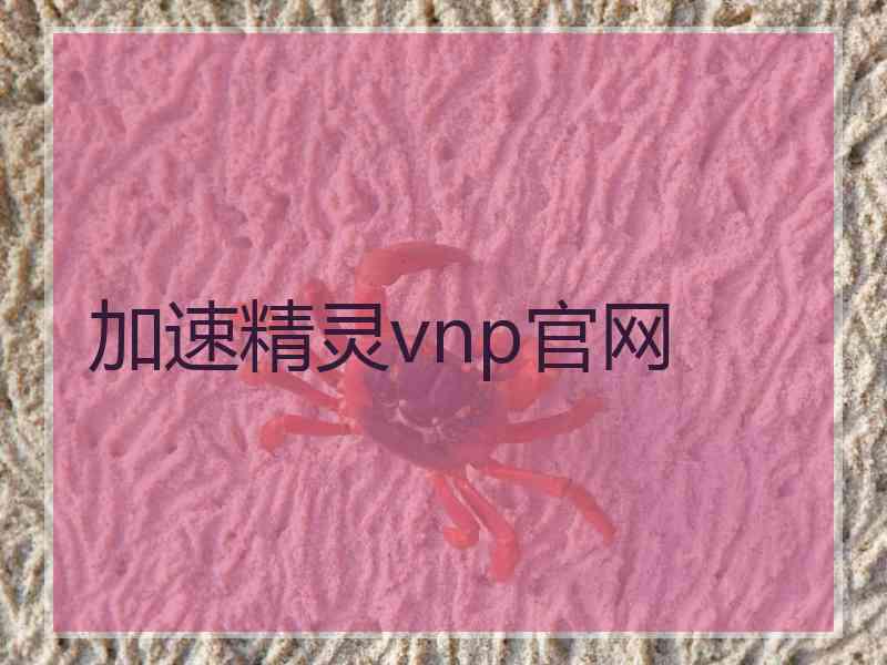 加速精灵vnp官网