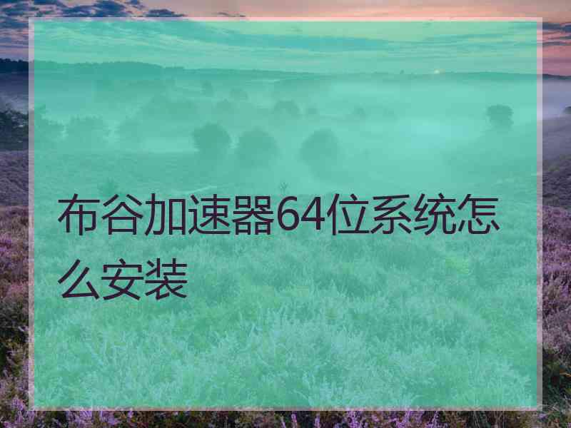 布谷加速器64位系统怎么安装