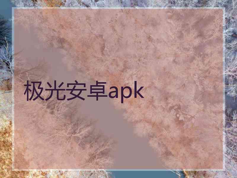 极光安卓apk