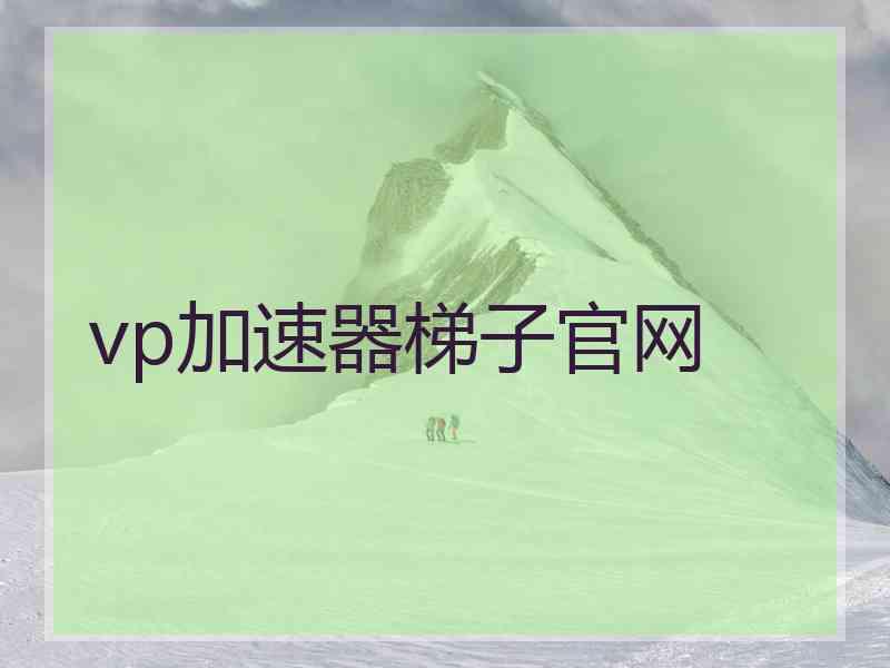 vp加速器梯子官网