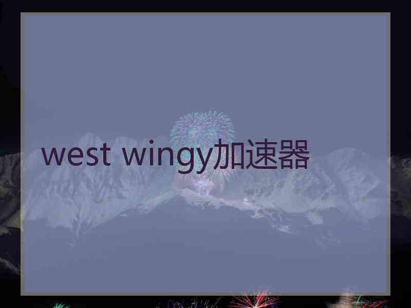 west wingy加速器