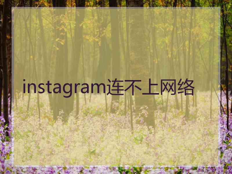 instagram连不上网络