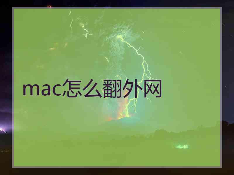 mac怎么翻外网