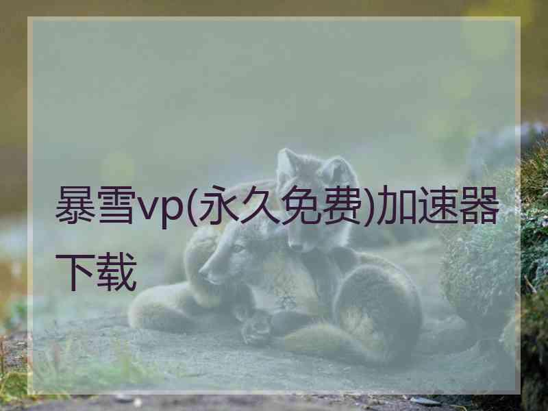 暴雪vp(永久免费)加速器下载