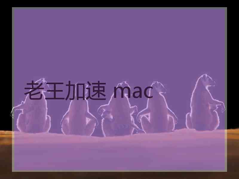 老王加速 mac