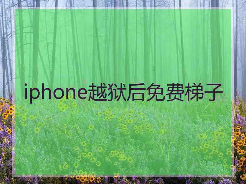 iphone越狱后免费梯子