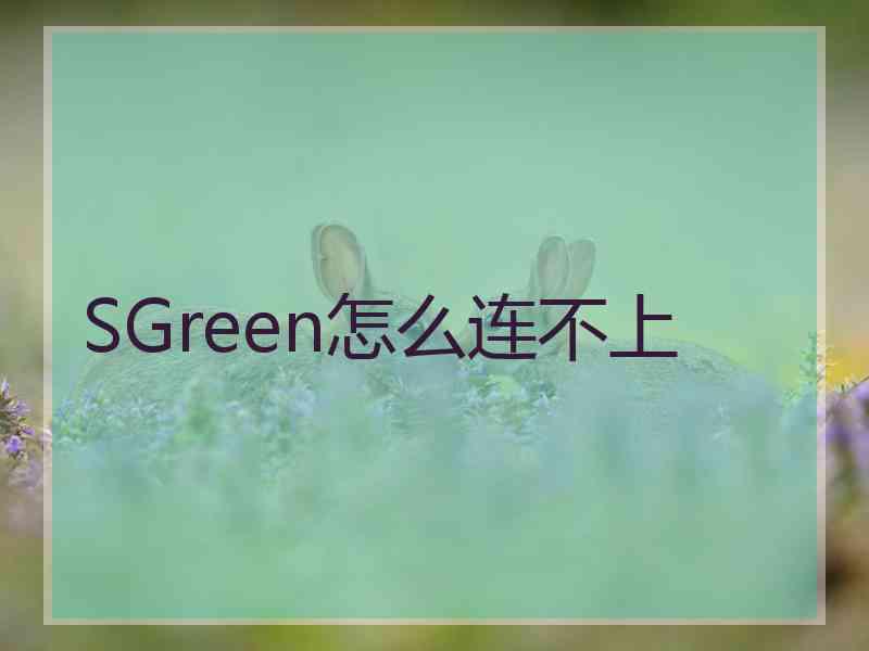 SGreen怎么连不上