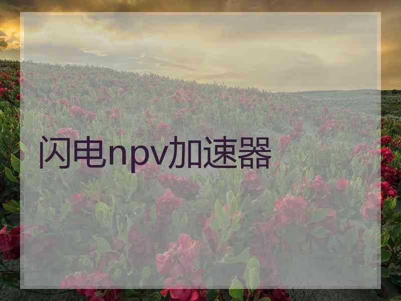 闪电npv加速器