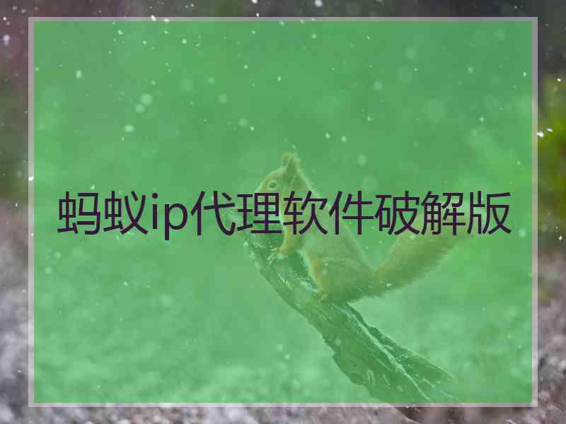 蚂蚁ip代理软件破解版