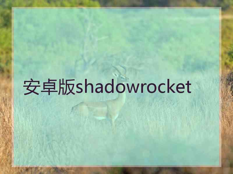 安卓版shadowrocket